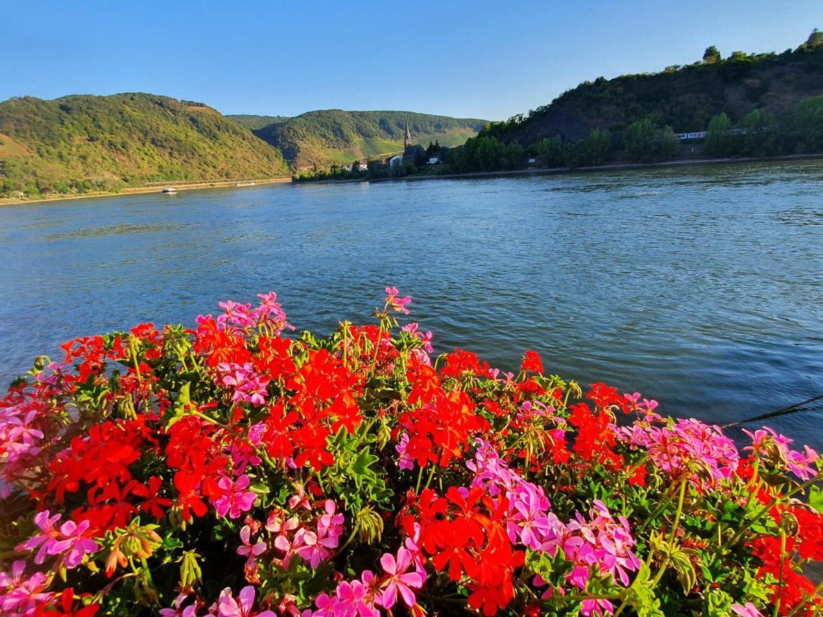 Grosse Wohnung Mit Rheinblick Boppard Exteriör bild